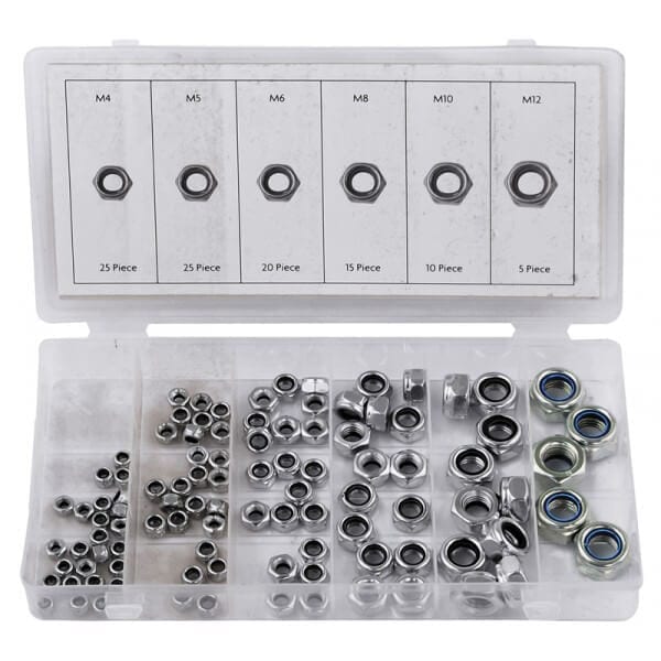100 Pc Lock Nut Assortment