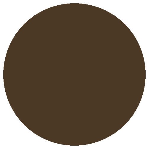 RM Aerosol 150ml GWR Stock Brown