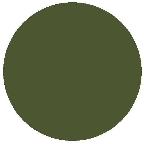 RM Post 1966 15ml Engineers Olive