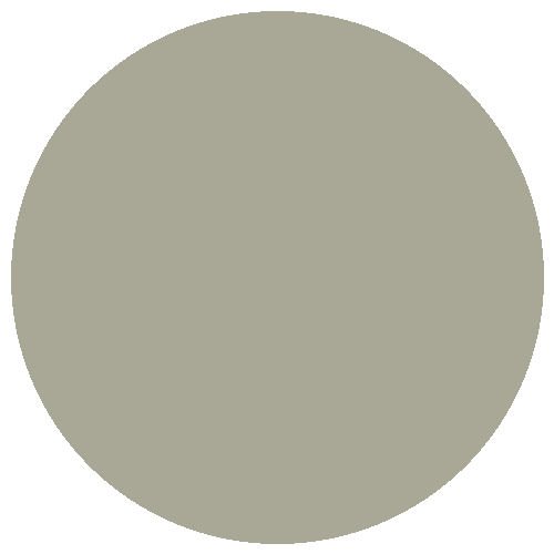 RM BR 1948-66 15ml Diesel Roof Grey