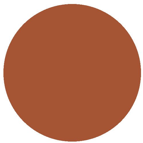 RM General Range 15ml Matt Dark Rust