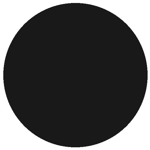 RM General Range 15ml Coal Black