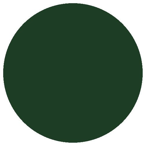 RM Pre-Nat 15ml GWR Loco Green Pre-1928
