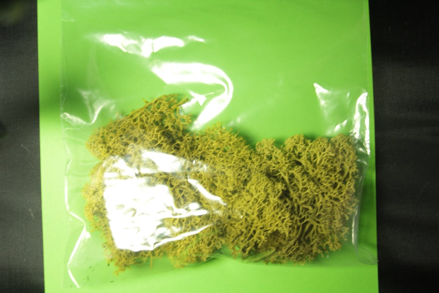 Greenscene Olive Green Lichen 25g - Image 2