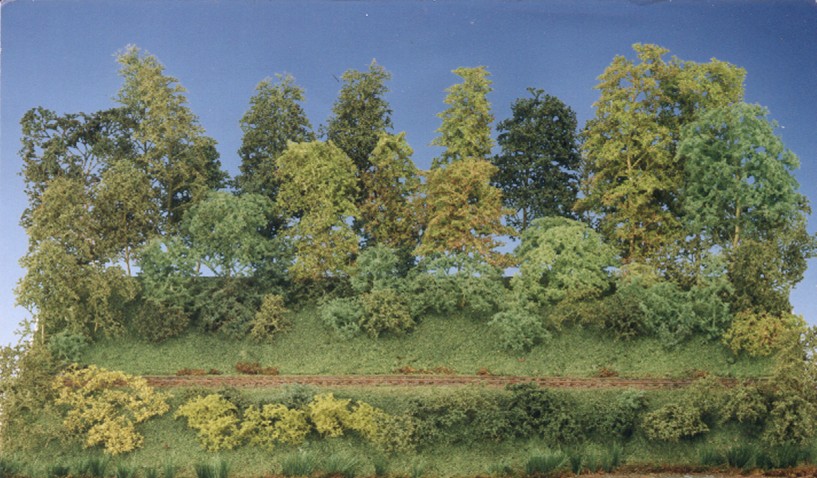 Green Scene Forest in a Box