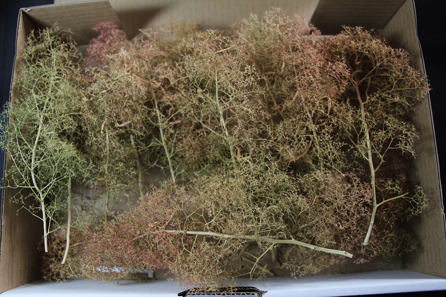 Green Scene Forest in a Box - Image 2