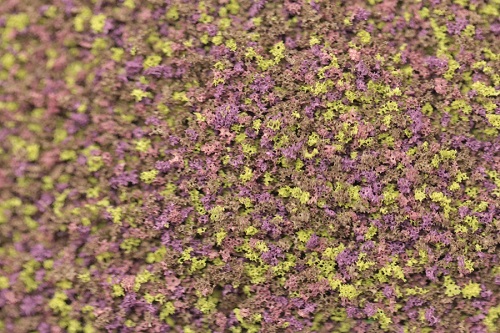 Coarse Grade Scatters - Heather