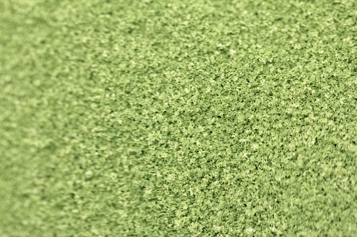 Fine Grade Scatters - Fern Green