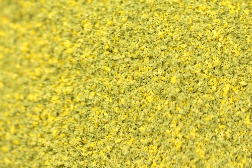 Fine Grade Scatters - Spring Green