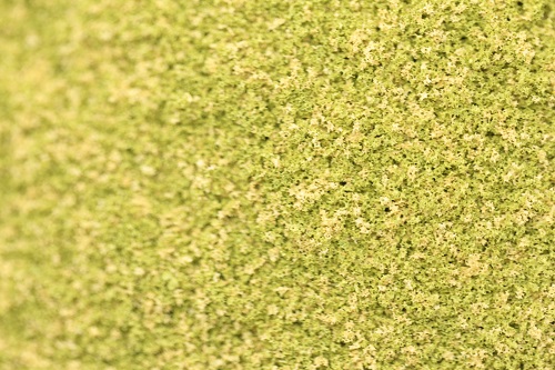 Fine Grade Scatters - Meadow Green