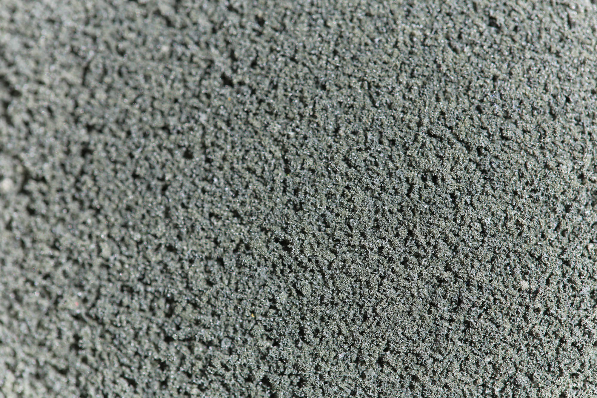 Fine Grade Scatters - Woodsorrel Green