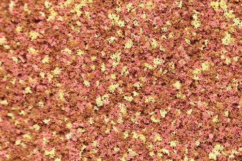 Scatters Coarse Grade - Autumn Brown
