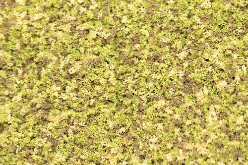 Scatters Coarse Grade - Early Autumn Green